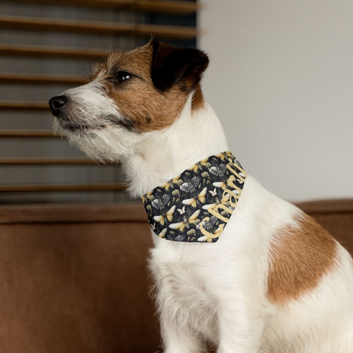 Pet Bandana Collar Moth Pattern