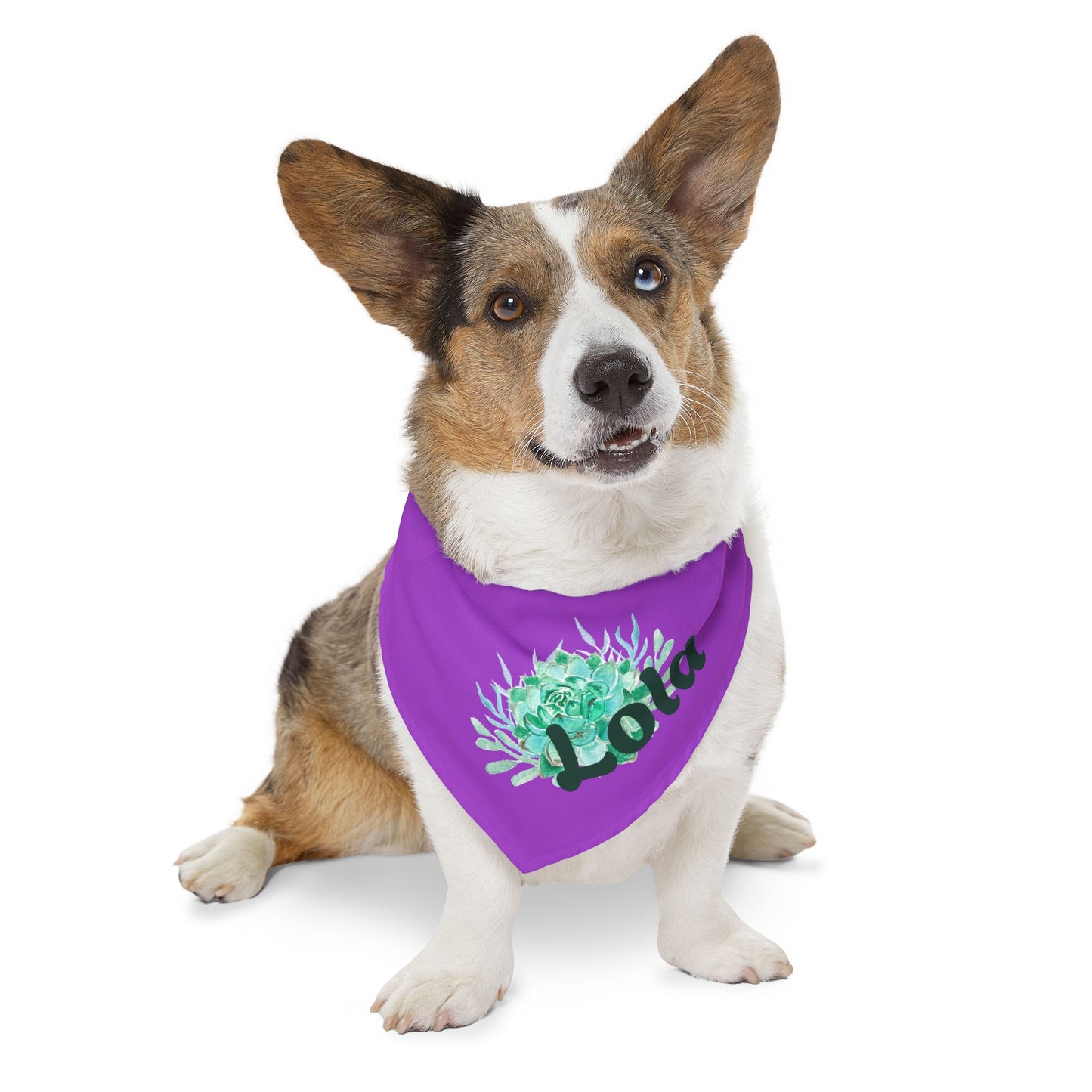 Pet Bandana Collar with Succulent