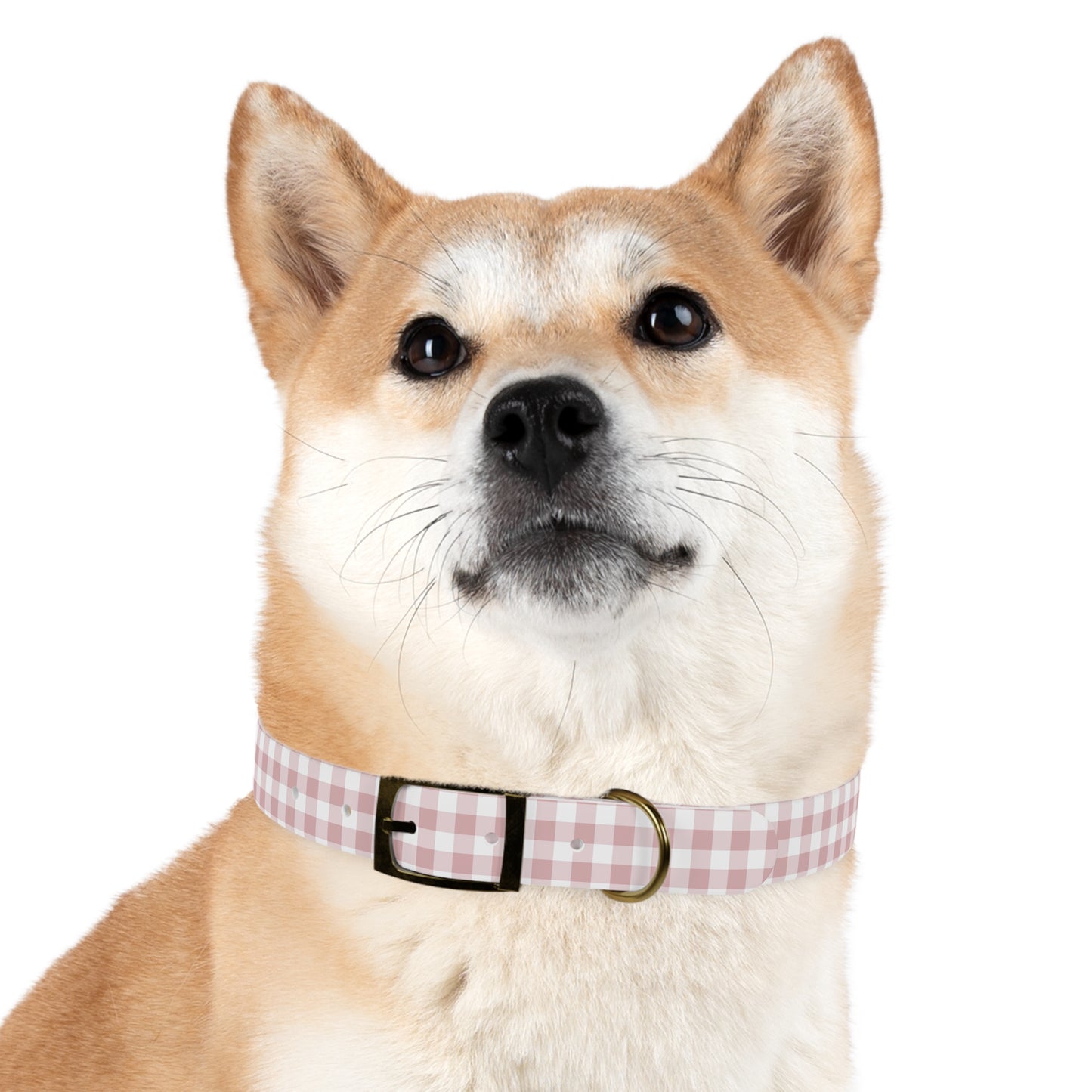 Chic Pink Gingham Dog Collar - Pink Plaid Cat Collar