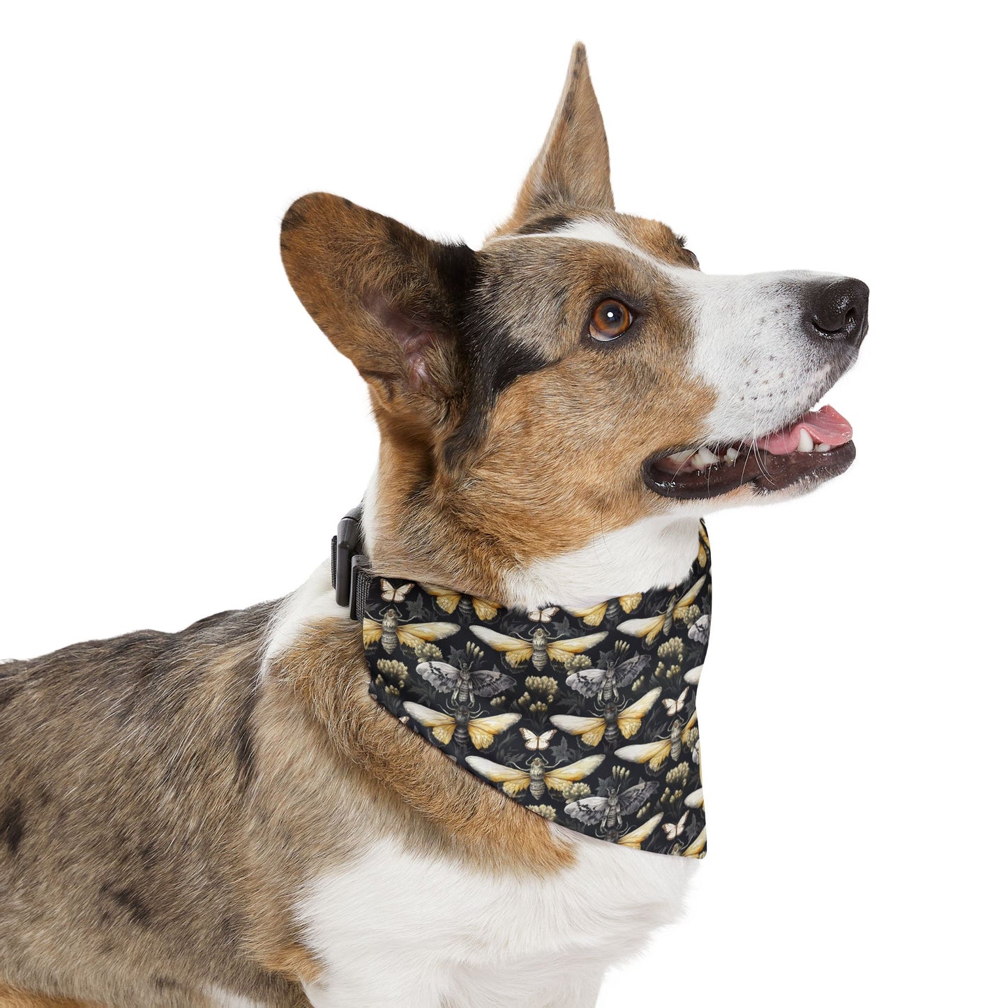 Pet Bandana Collar Moth Pattern