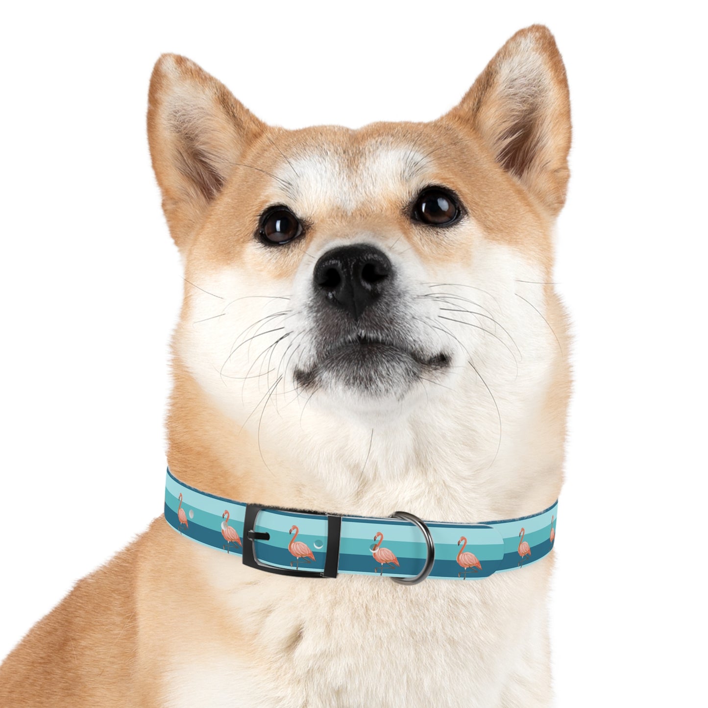 Personalized Striped Blue Dog Collar