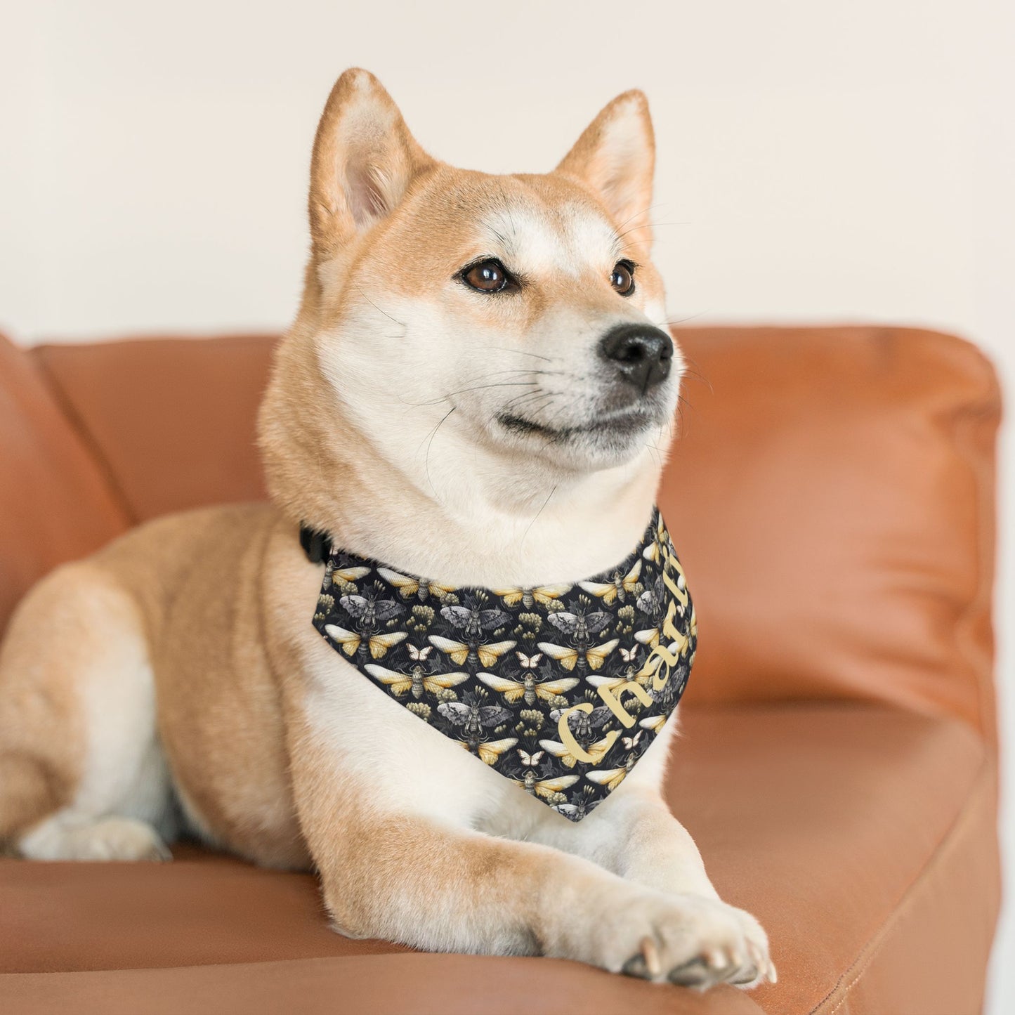 Pet Bandana Collar Moth Pattern