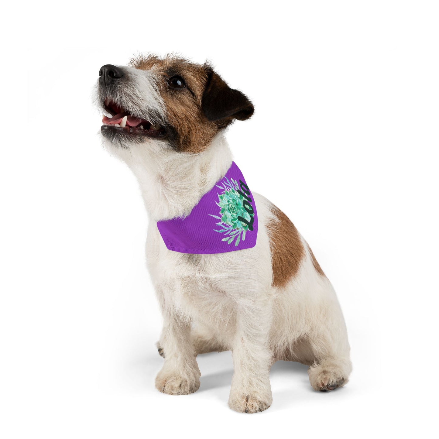 Pet Bandana Collar with Succulent