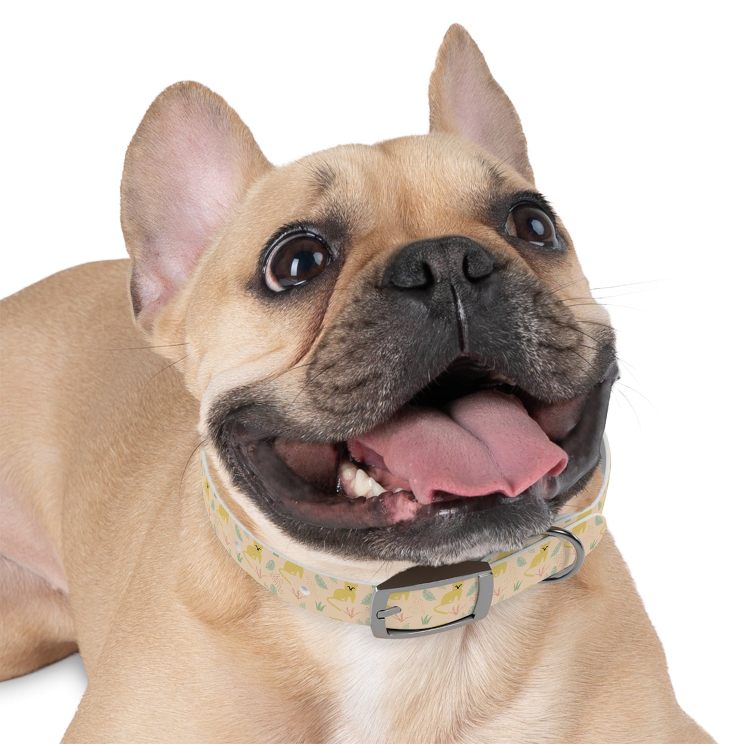 Personalized Tropical Dog Collar
