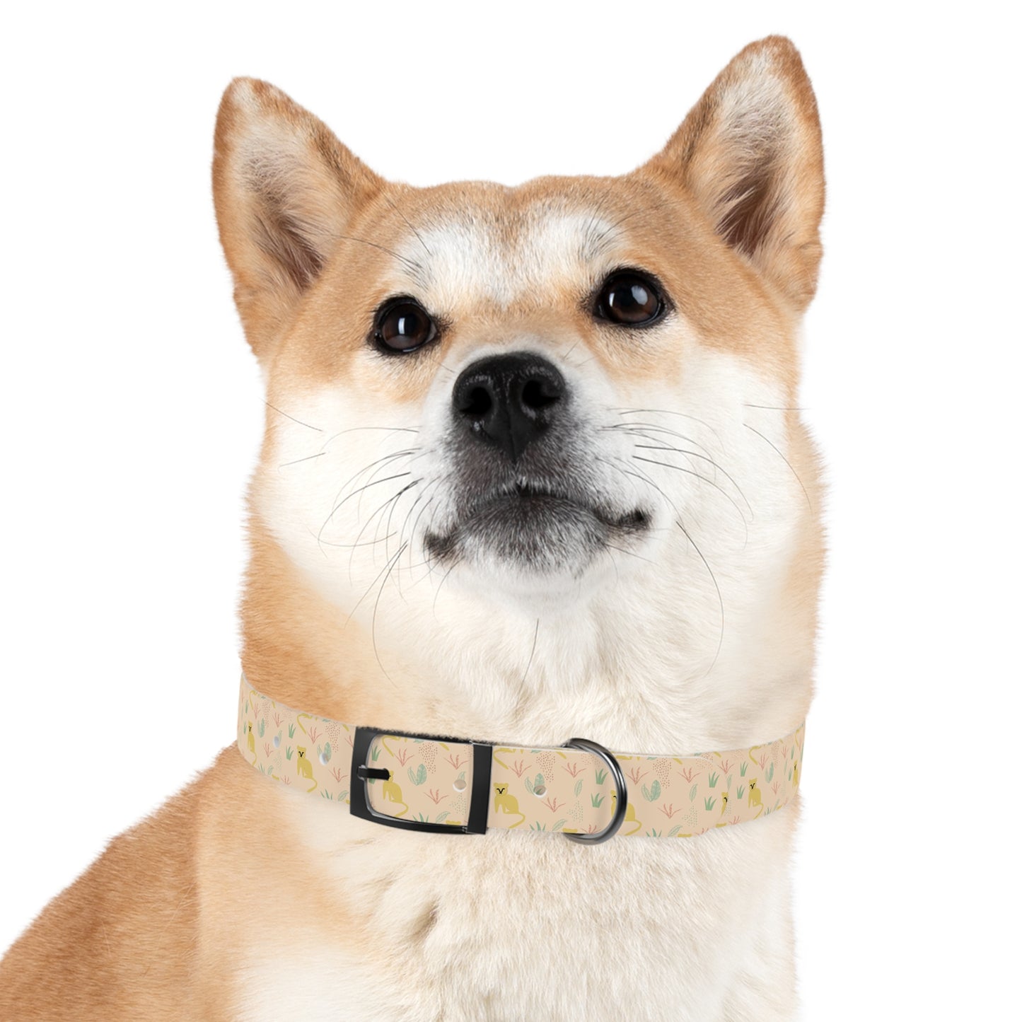 Personalized Tropical Dog Collar