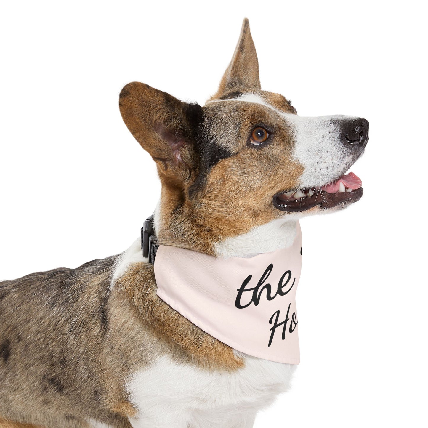 Pet Bandana Collar Dog of Honor Blush Pink
