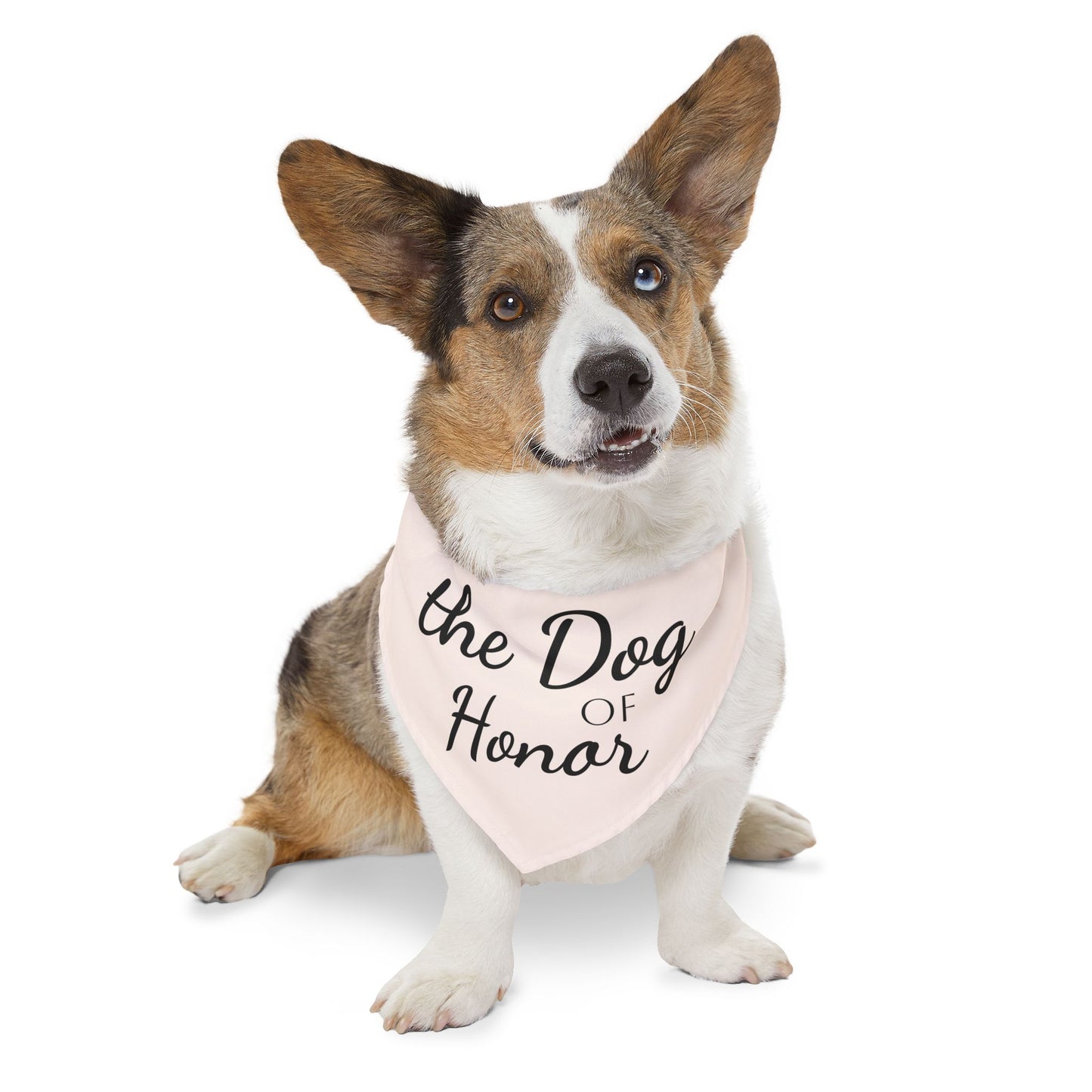 Pet Bandana Collar Dog of Honor Blush Pink