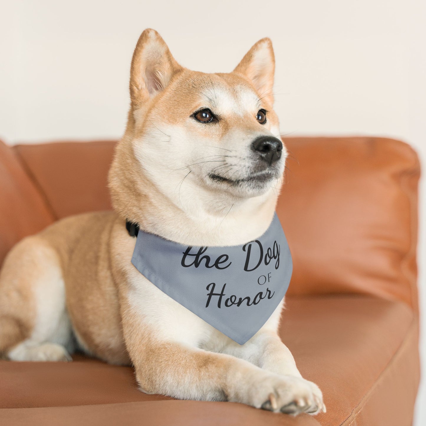 Pet Bandana Collar Dog of Honor Metal Grey