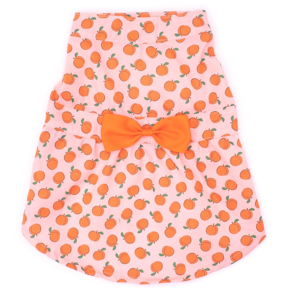 front of dress for dogs with peaches print