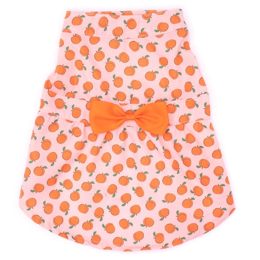 front of dress for dogs with peaches print