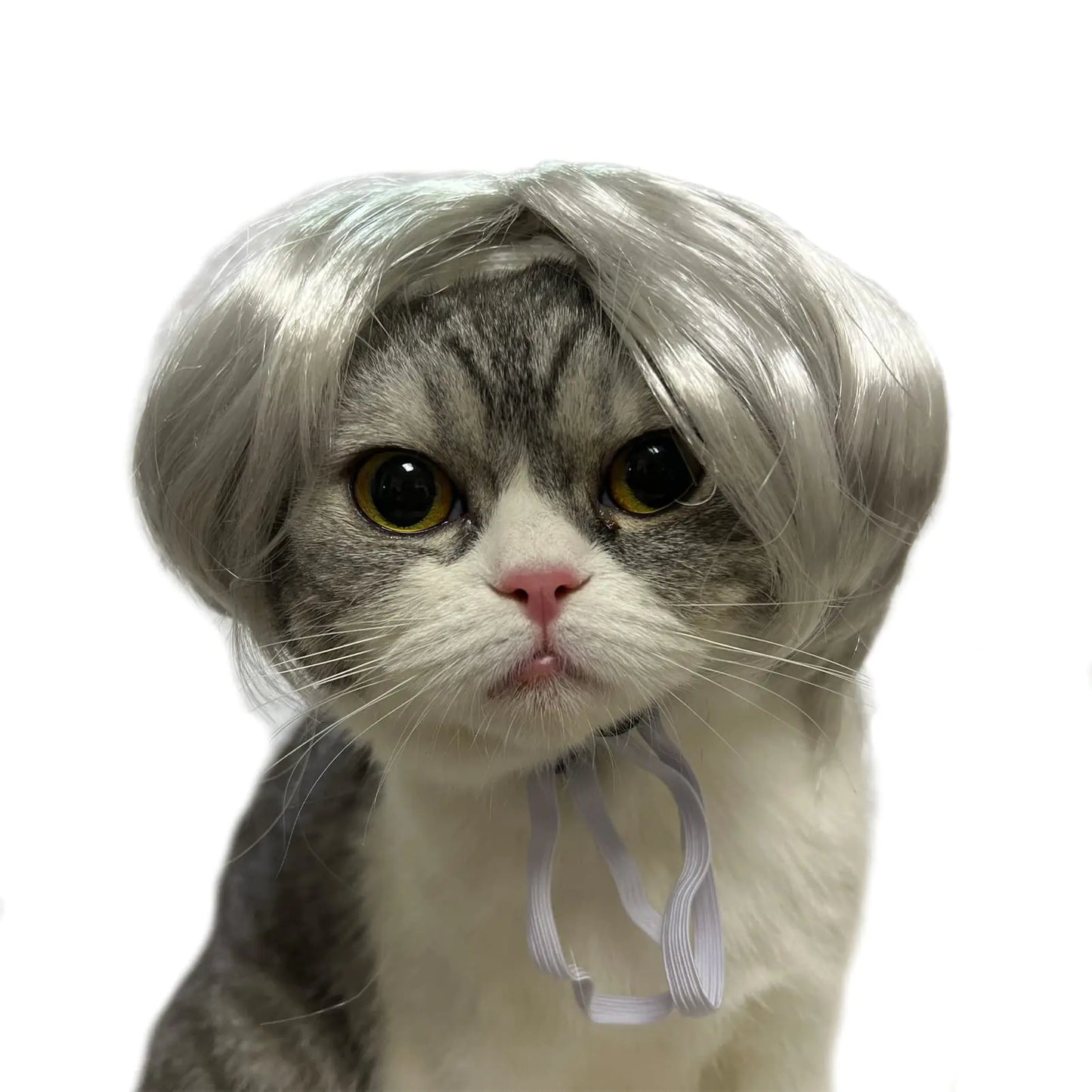 Grey wig for cats / Grey wig for dogs