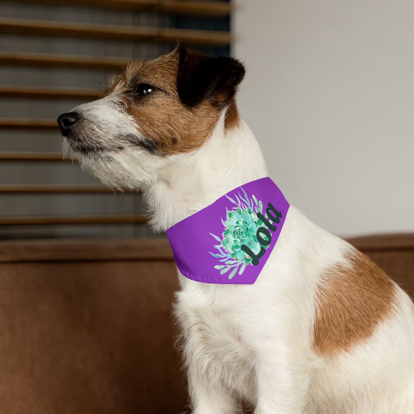 Pet Bandana Collar with Succulent