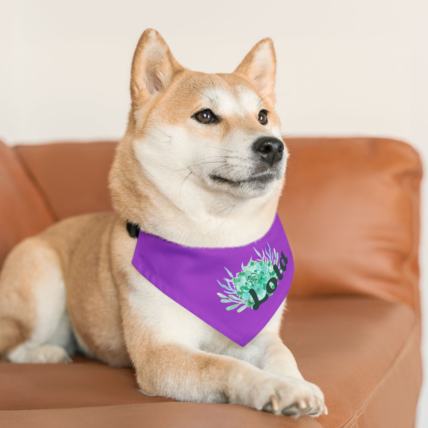 Pet Bandana Collar with Succulent