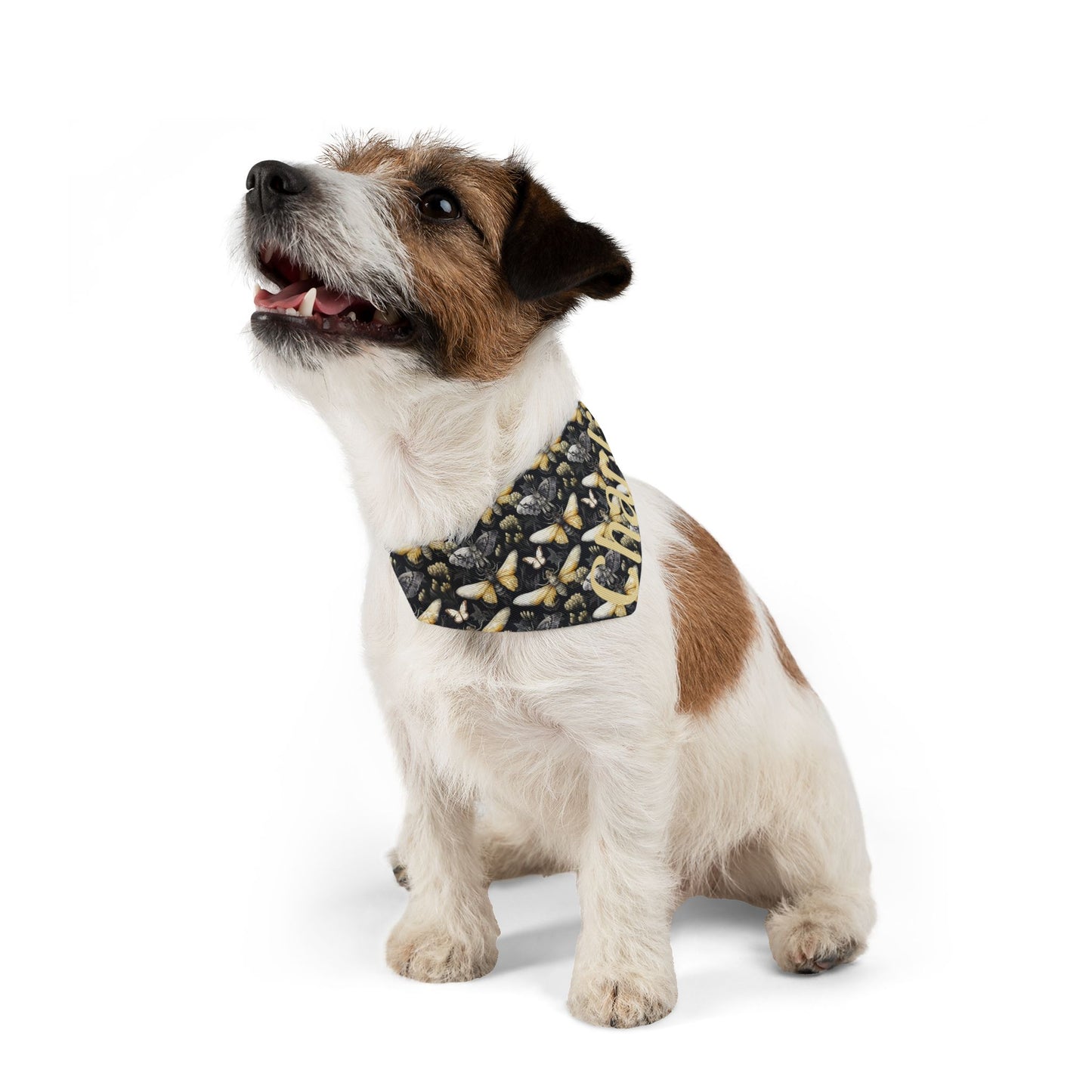 Pet Bandana Collar Moth Pattern