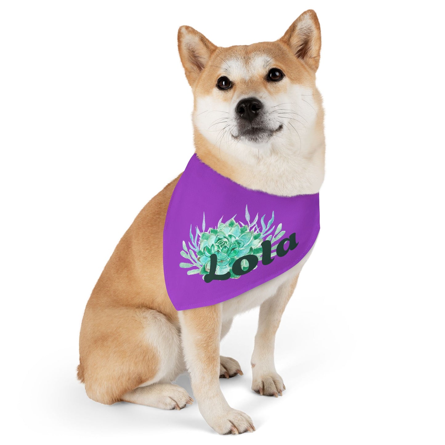 Pet Bandana Collar with Succulent