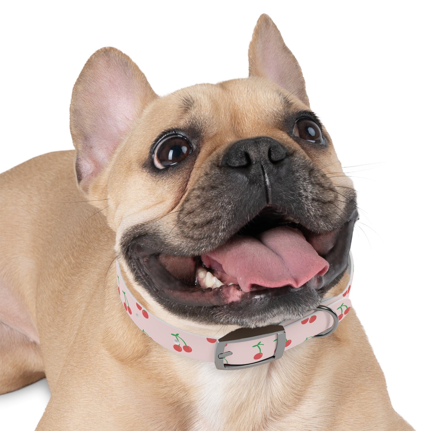 Cherry Print Waterproof Dog Collar