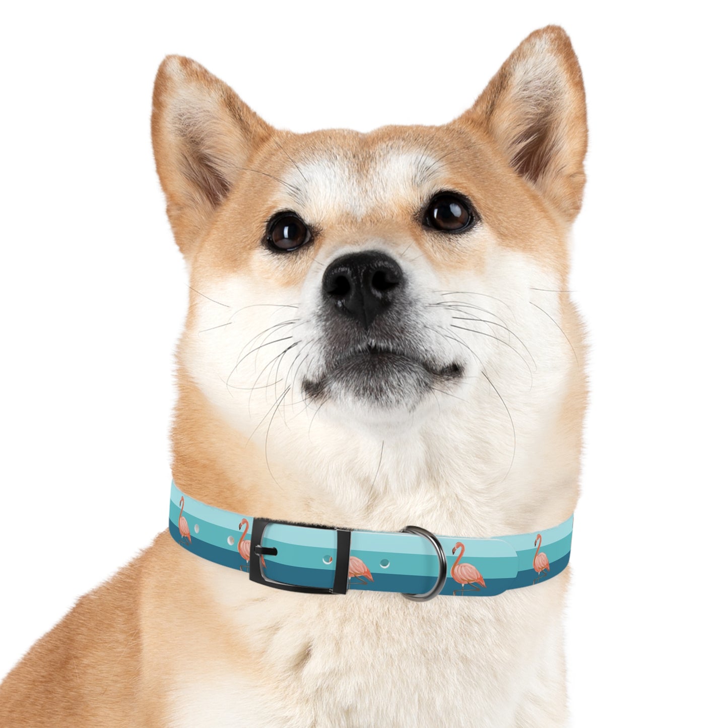 Personalized Striped Blue Dog Collar