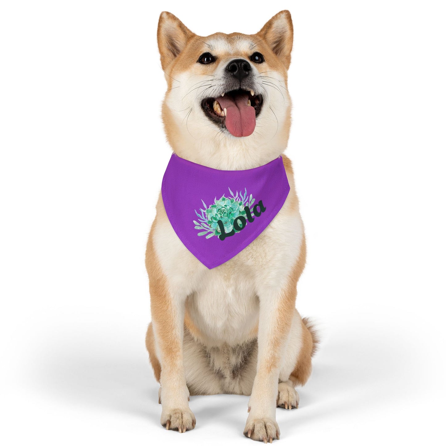 Pet Bandana Collar with Succulent