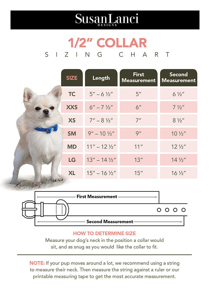 Dog Collar Butterfly Design | Fancy Cat Collar