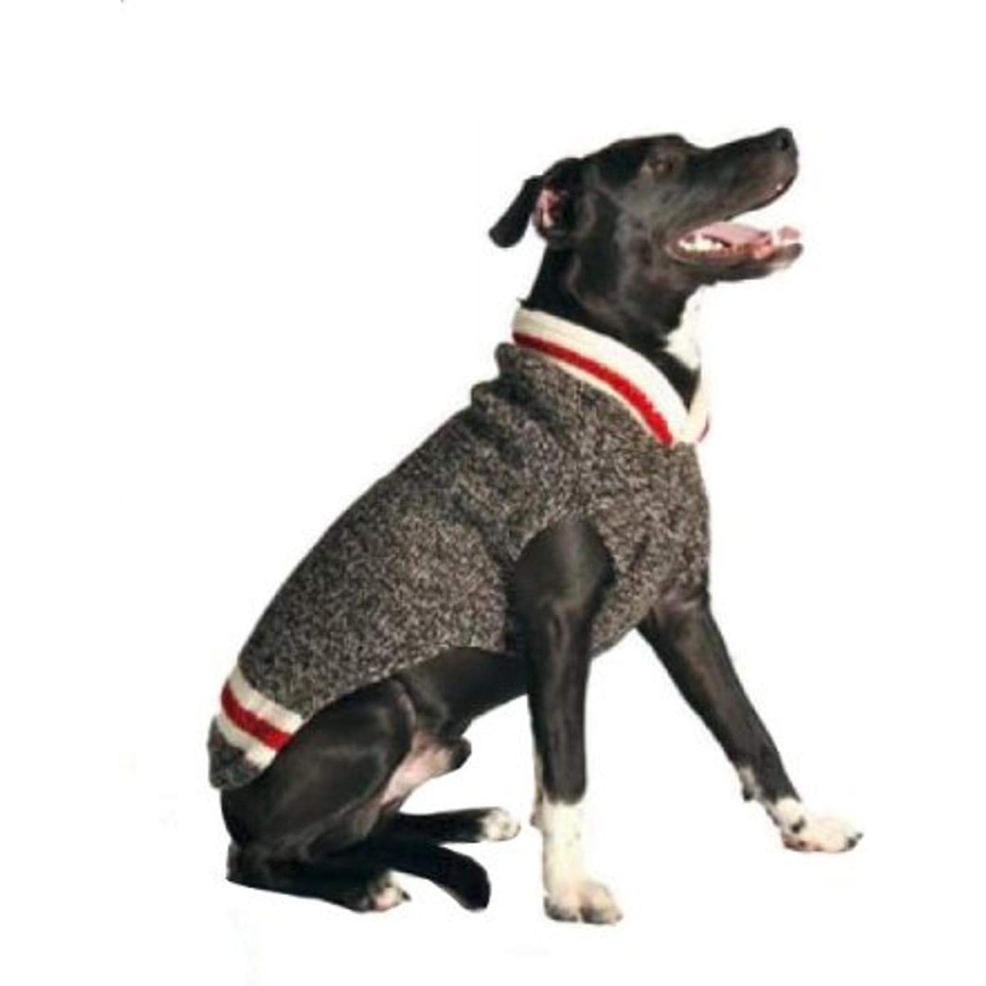 dog wearing a grey and red sweater