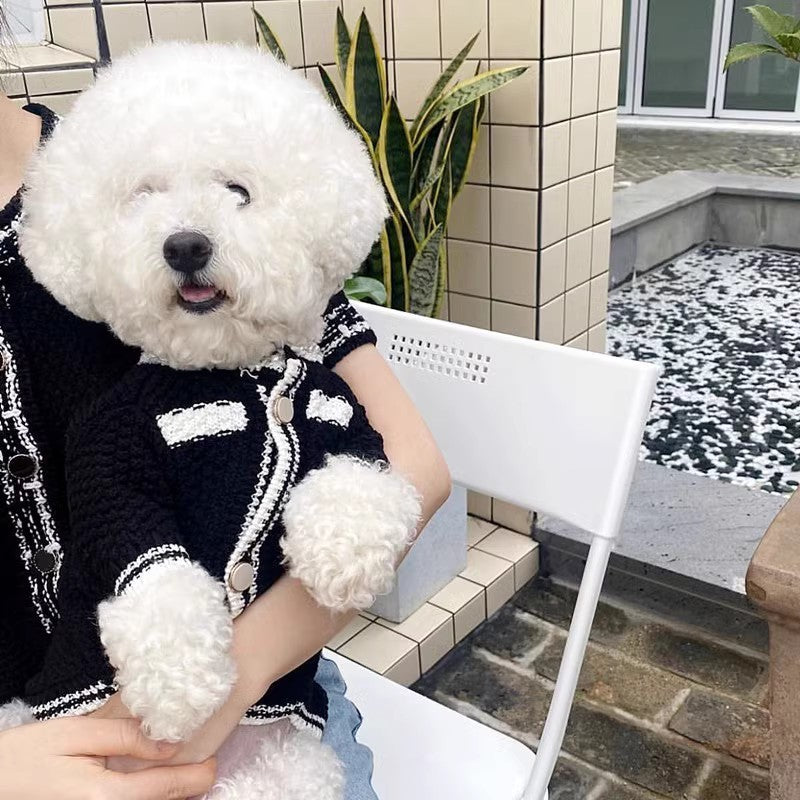 Cute Dog Sweaters for Small Dogs