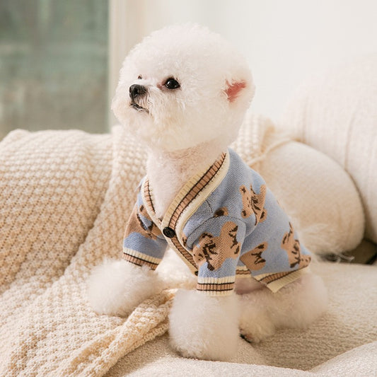 Small white dog wearing a blue outfit with animal patterns on a beige couch.