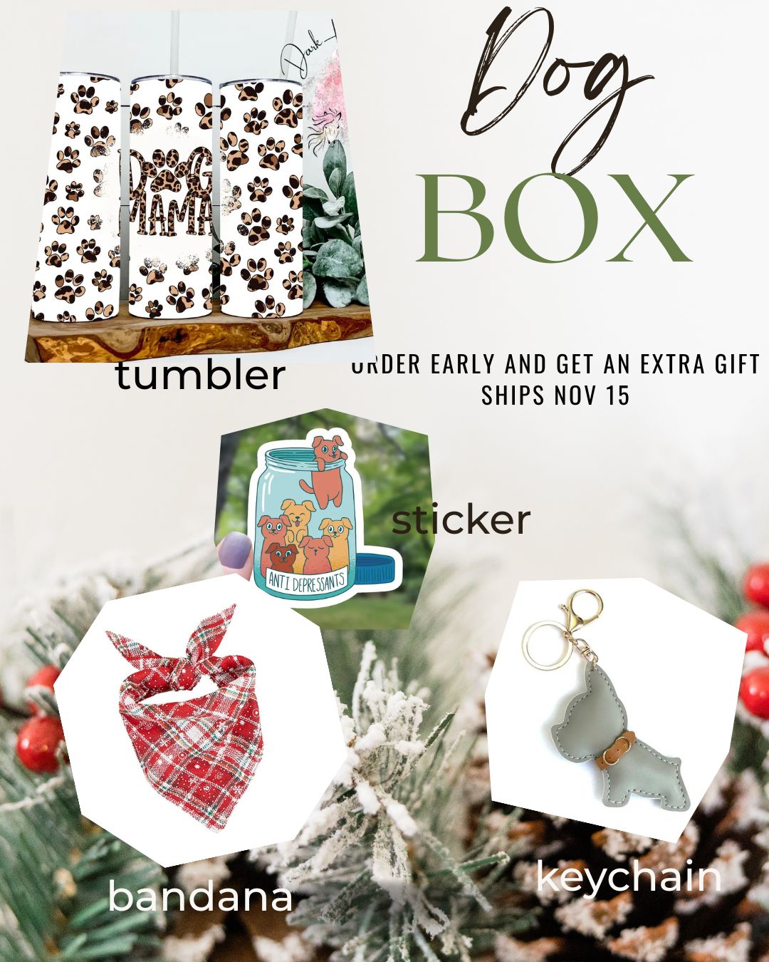 Christmas Gift Dog Box
