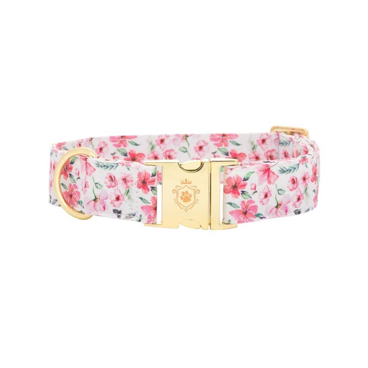 daisy dog collar with gold buckle