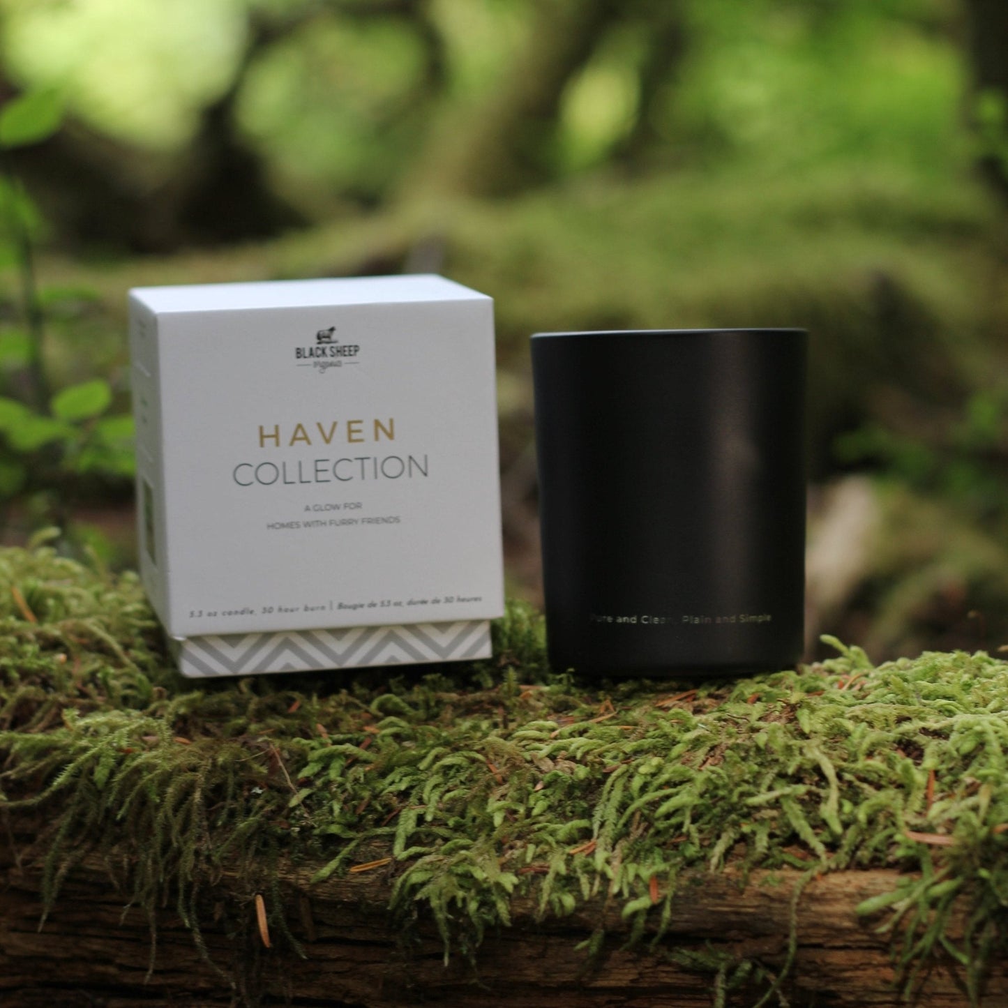 Pet Friendly Candles - Cedarwood Jasmine