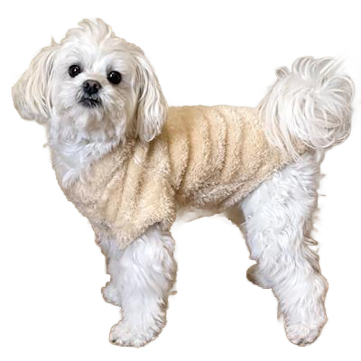 Cream Plush Dog Pullover