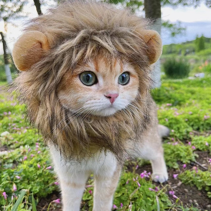 A small cat wearing a lion mane costume, designed to make it resemble a lion, standing in a garden setting.