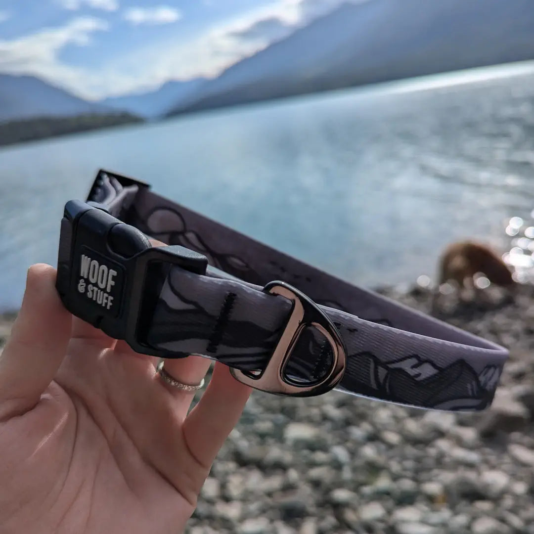 Top Waterproof Collars for Dogs: Keep Your Pup Dry and Stylish