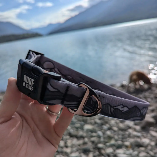 Top Waterproof Collars for Dogs: Keep Your Pup Dry and Stylish