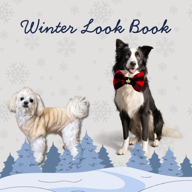 Winter Look Book