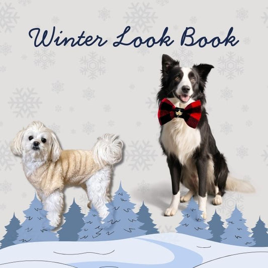 Winter Look Book