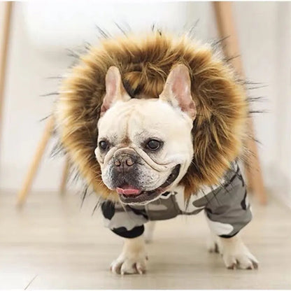 Pawkage Dog Jacket | Hooded Dog Jacket with Fur Trim