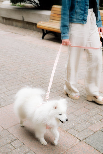 On-the-go Leash in Lychee