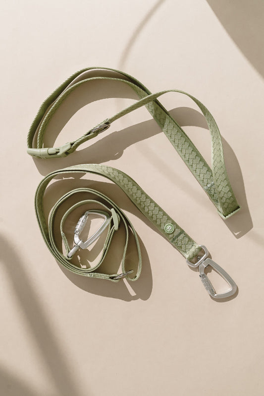 Daily Hands-Free Leash - Matcha