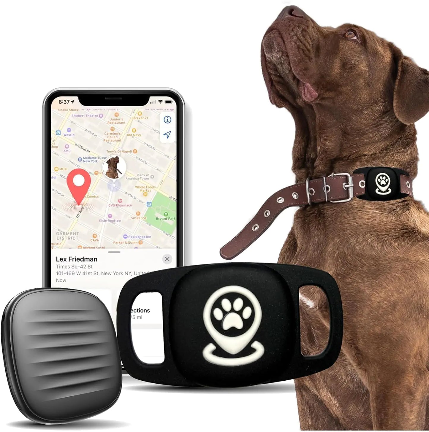 Smart Dog Tracker – Personalized Bluetooth Pet Finder with Collar Holder, Works with Apple Find My (No Monthly Fee, iOS Only)
