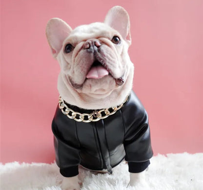 Boujee Dog Leather Jacket | Dog Jacket for Cold Weather