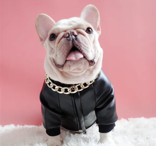 Boujee Dog Leather Jacket | Dog Jacket for Cold Weather
