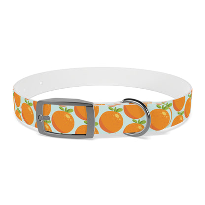 Teal and Orange Waterproof Dog Collar - personalized
