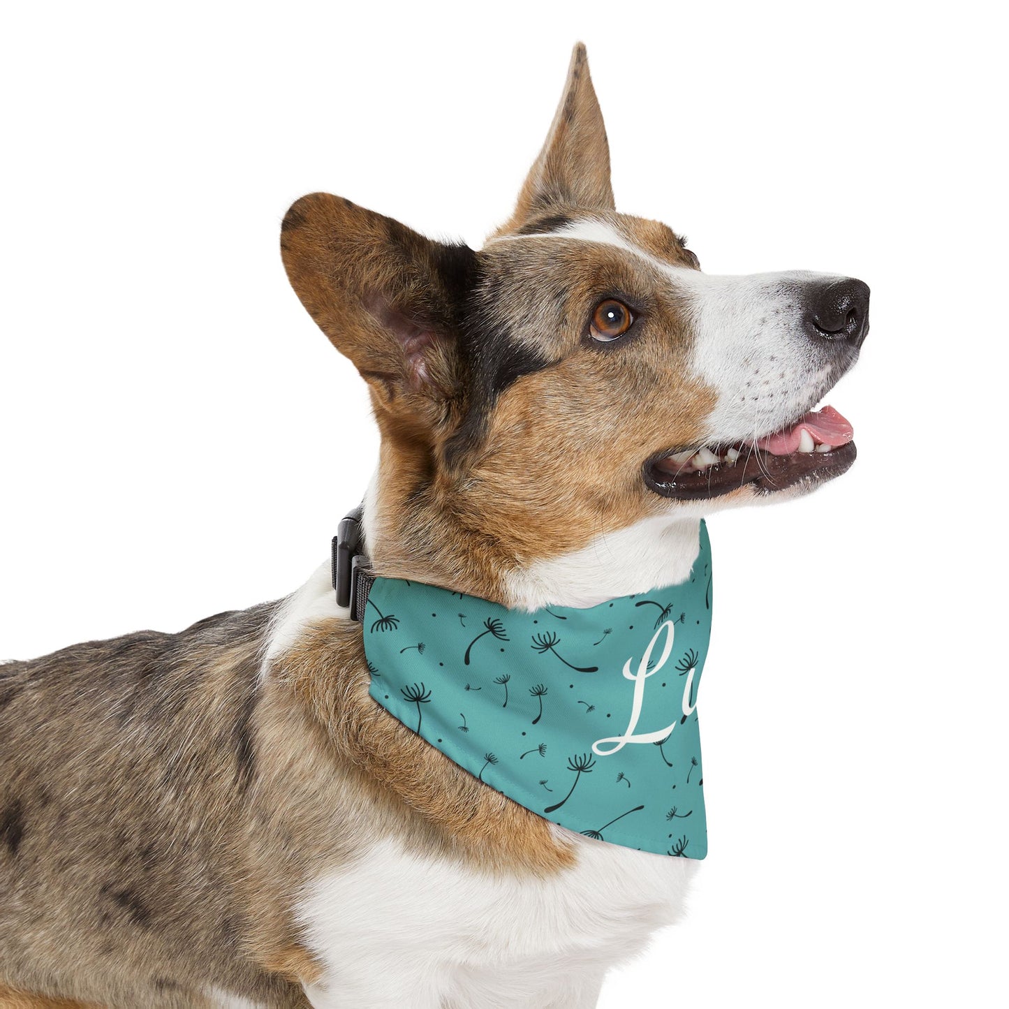 Pet bandana with name - Whimsical Dandelion Design teal