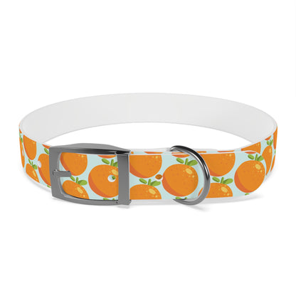 Teal and Orange Waterproof Dog Collar - personalized