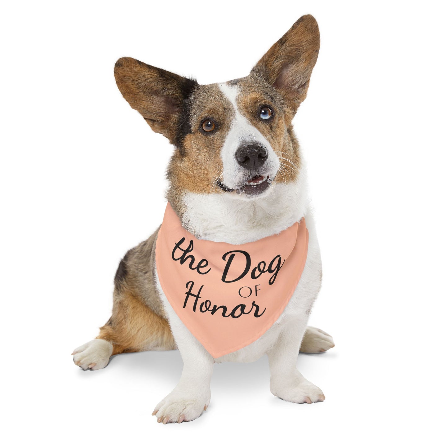 Bandana Collar Dog of Honor light peach