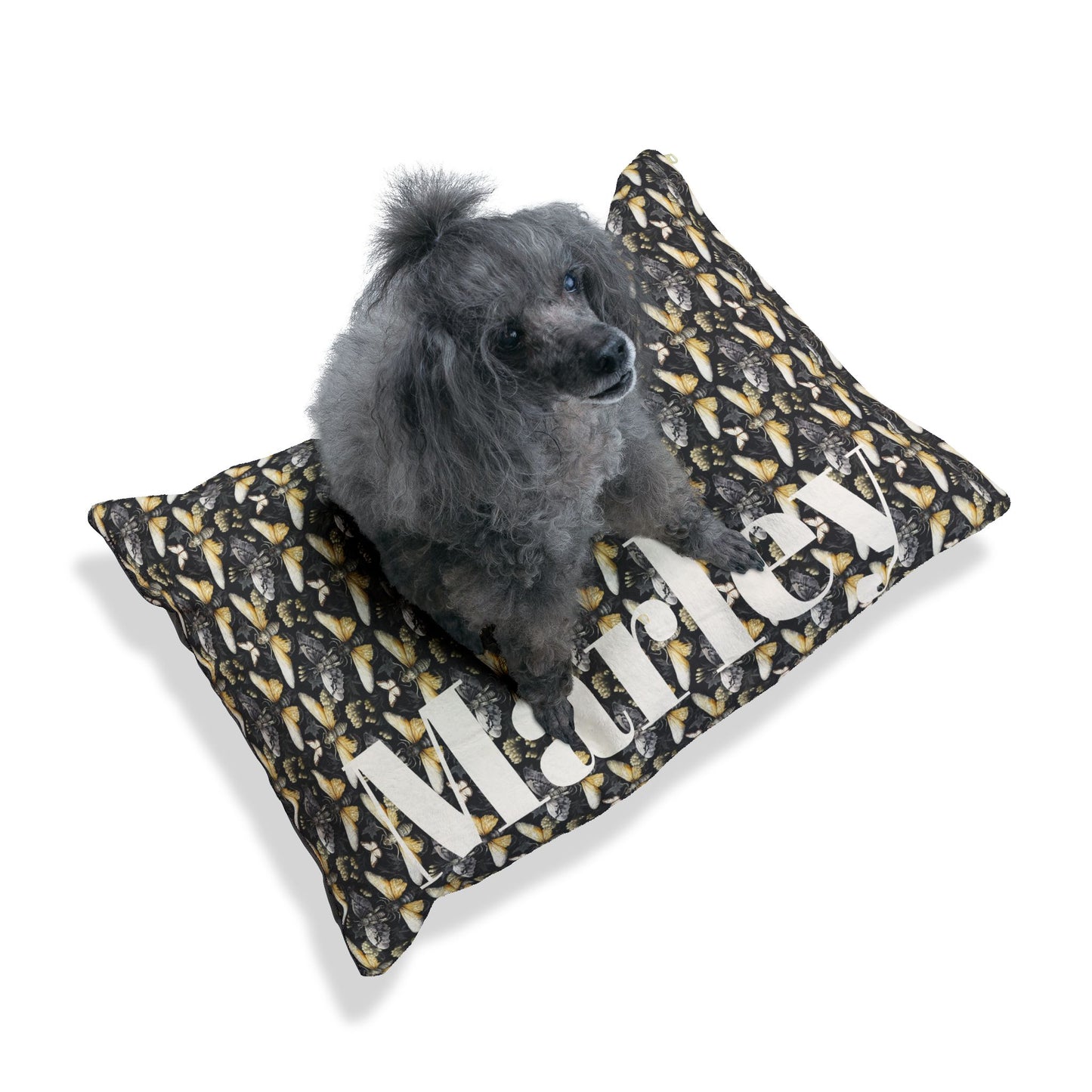 Personalized Pet Bed with Name/Bed for Large Dogs/Beds for Small Dogs