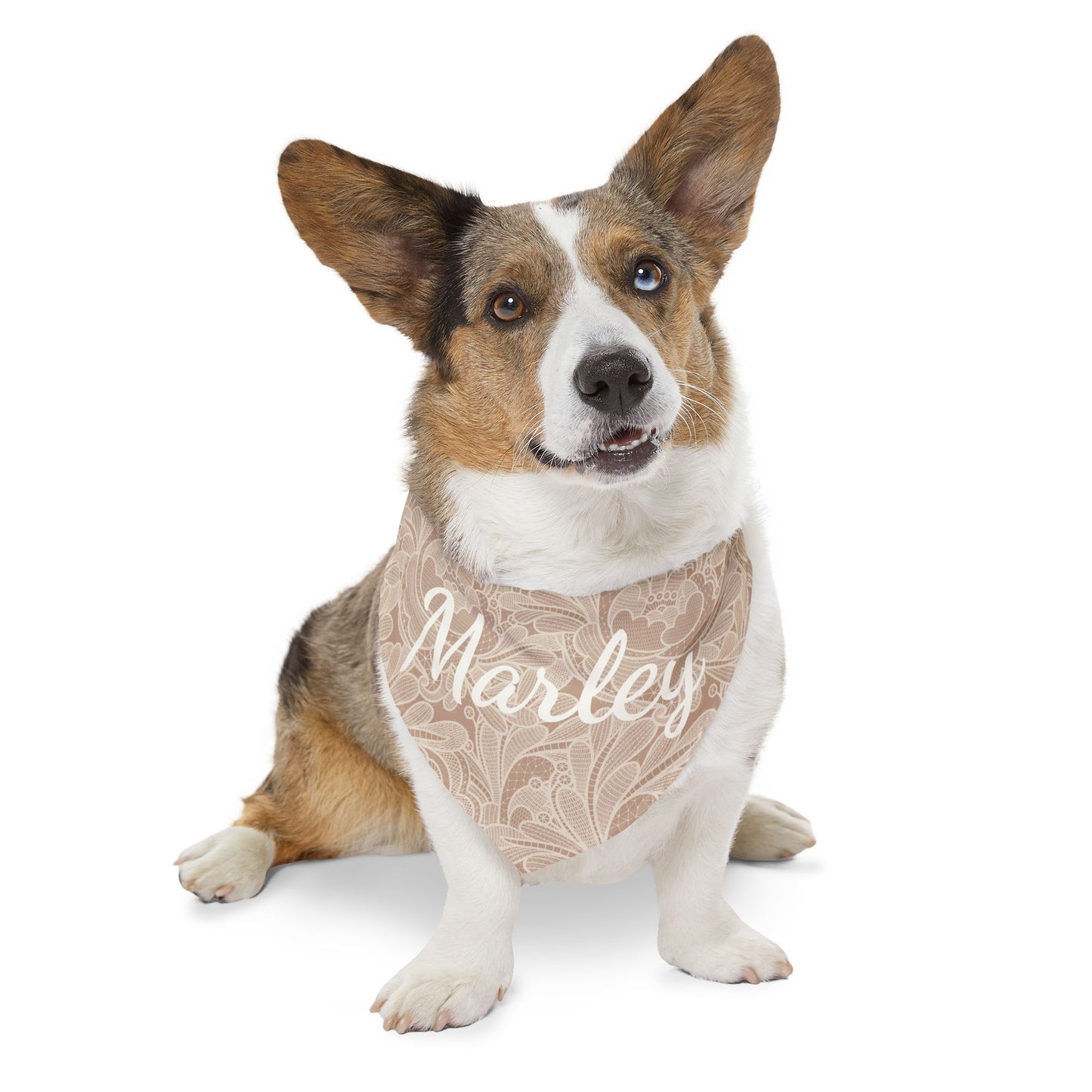 Warm Taupe Lace look Personalized Bandana with Name