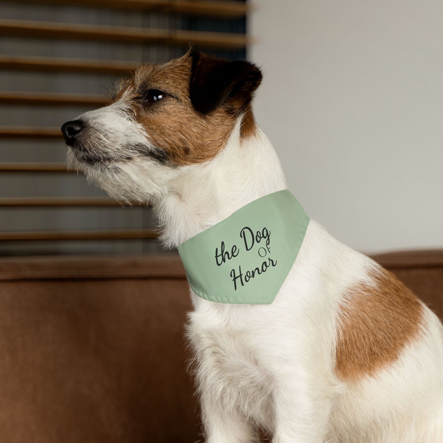 Pet Bandana Collar Dog of Honor