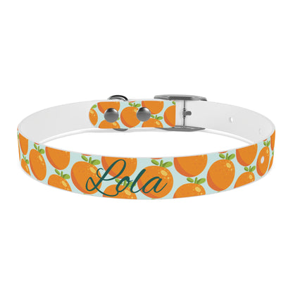 Teal and Orange Waterproof Dog Collar - personalized