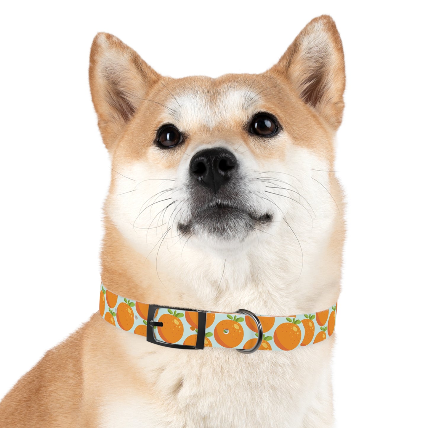 Teal and Orange Waterproof Dog Collar - personalized